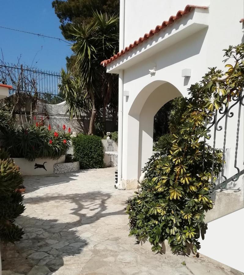 B&B L'Altare Bianco Vieste Exterior foto